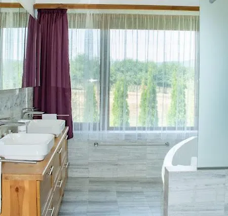 Stemara 라즐로그